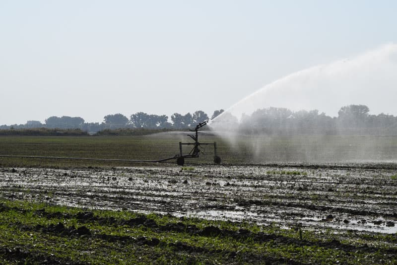 Irrigation